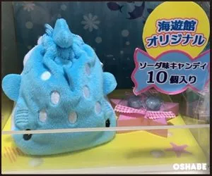 海遊館お土産お菓子画像一覧【値段】ジンベエザメおすすめスイーツ(写真 59)