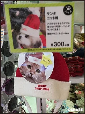 3coins 300均　2016　クリスマス