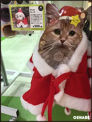 3coins 300均　2016　クリスマス