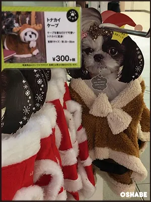 3coins 300均　2016　クリスマス