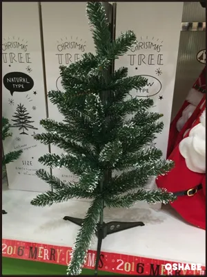 3coins 300均　2016　クリスマス
