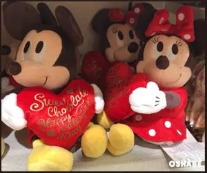 ディズニーストアバレンタイン限定グッズ2017チョコお菓子画像（写真 26）
