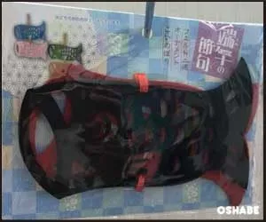 セリア100均こどもの日グッズ2018【画像】鯉のぼり飾り ウォールステッカー等(写真 10)