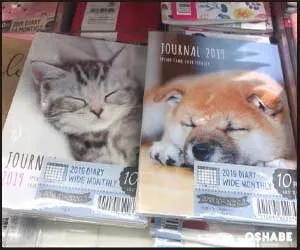 セリア100均手帳2019【画像】ディズニー サンリオ ドット等（写真 15）