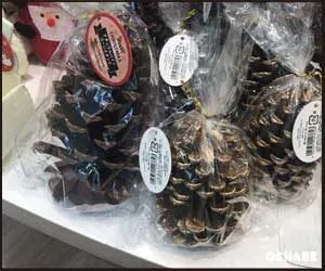 セリア100均クリスマス2017飾り付けグッズ【画像】オーナメント他（写真 23）