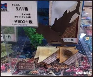 海遊館お土産お菓子画像一覧【値段】ジンベエザメおすすめスイーツ(写真 47)