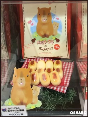 海遊館お土産お菓子画像一覧【値段】ジンベエザメおすすめスイーツ(写真 36)