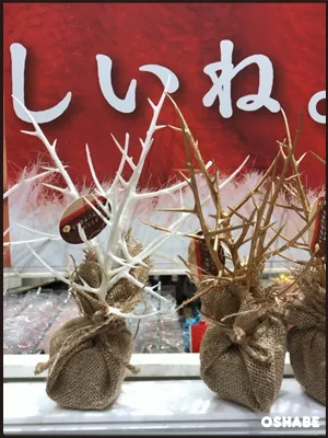 セリア クリスマス 2016