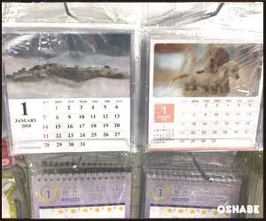 キャンドゥ100均卓上・壁掛けカレンダー2018【画像】サンリオ等(写真 9)