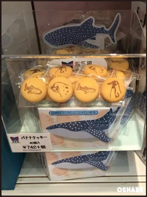 海遊館お土産お菓子画像一覧【値段】ジンベエザメおすすめスイーツ(写真 19)
