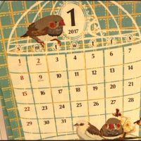 ダイソー　壁掛けカレンダー　2017