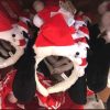 USJクリスマス2017仮装カチューシャ 帽子 被り物【画像・値段】