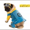 ハロウィンの仮装はペットも一緒に！犬とお揃いコスプレ服まとめ